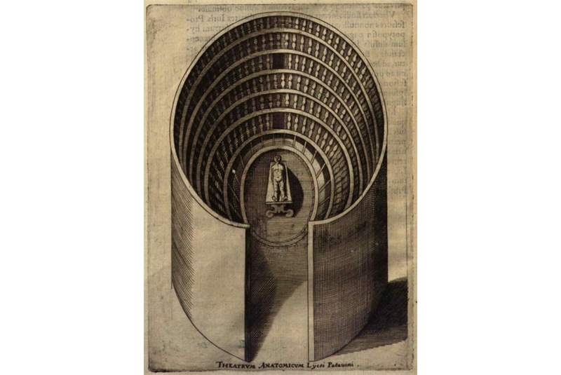 Fig. 60 - Teatro anatomico dell'Universit&agrave; di Padova, 1594-95. Disegno / Anatomical Theater of the University of Padua. Drawing.