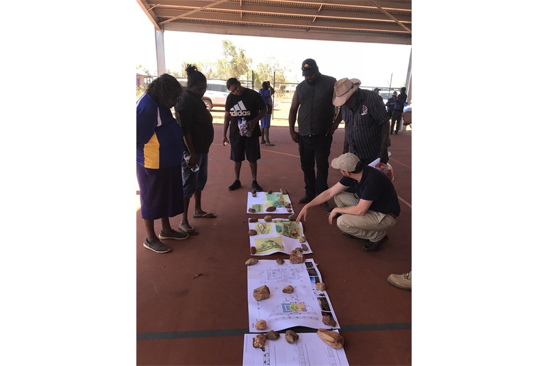 Fig. 1
David Kaunitz, Ka Wai Yeung, PAMS healthcare center, Newman, Australia.
© Robert Frith - Acorn Photo Fig. 1
David Kaunitz, Ka Wai Yeung, PAMS healthcare center, Newman, Australia.
© Robert Frith - Acorn Photo
