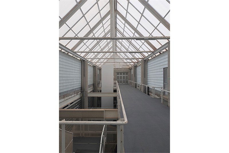 Fig. 20
Viste interne della facolt&agrave; di
Scienze del Mare di Tafira. &copy; C.
Dallatomasina.