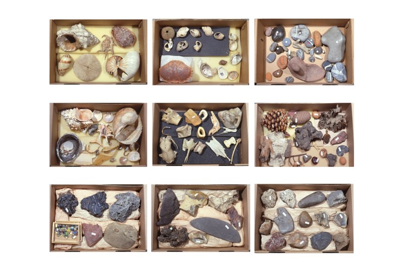 Fig. 7
Selection of boxes containing sea debris, stones, and bones; they are objets à réaction poétique from the apartment on Rue Nungesser-et-Coli. © Fondation Le Corbusier. Fig. 7
Selection of boxes containing sea debris, stones, and bones; they are objets à réaction poétique from the apartment on Rue Nungesser-et-Coli. © Fondation Le Corbusier.